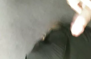 ស្ទើរតែចាប់បាន