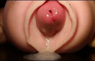ជាមួយនឹងការបញ្ច្រាស