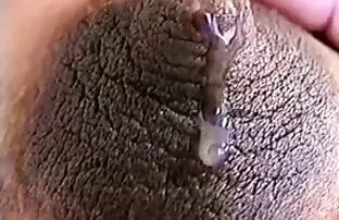 មីលគីមានផ្ទៃពោះ