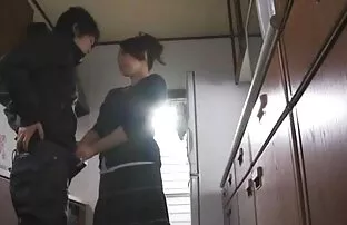 មីលហ្វាយជប៉ុន