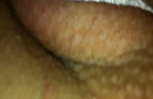 ប៍នតង់ដេងស្រស់ស្អាត