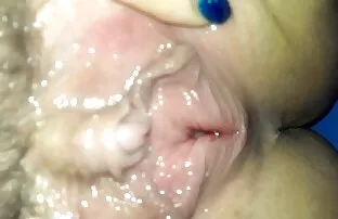 លេងឆ្មា