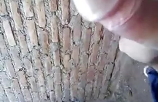 ភេទសាធារណៈ