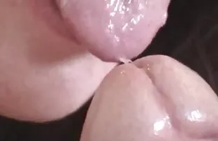 បិទការងារផ្លុំ