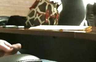 សំភាសន៍ Jerk