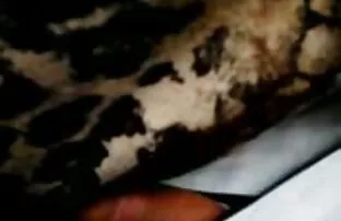 ចុចឡានក្រុង