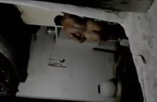 ស្រីលង្កាវីហ្គ័រ