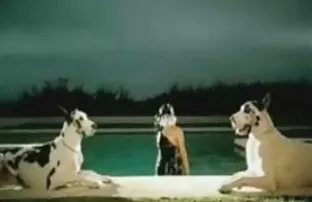 ខ្លែងហើររបស់ Lady gaga