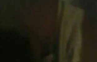 ព្រហ្មចារី