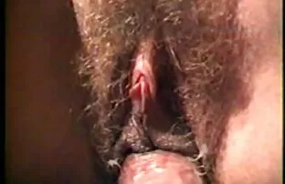 ឆ្មាបិទនៅផ្ទះ