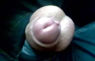 ពិព័រណ៍ដឹកជញ្ជូន ២
