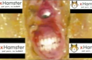 ជាមួយយាយនិងម៉ាក់