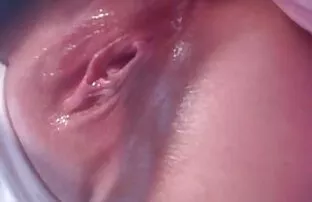 ប៊ូល ៣