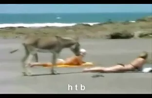 Fun.4.htb